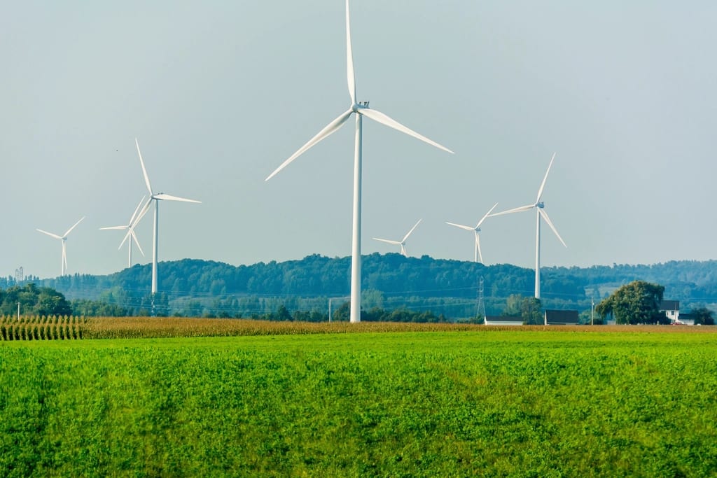 Pale eoliche in un campo: dietro ogni indicatore ESG c'è un dato reale.